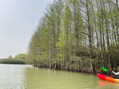 -上海海湾国家森林公园