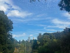 -墨尔本皇家植物园