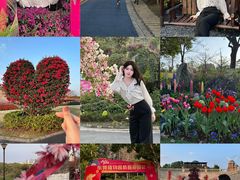 -东莞植物园