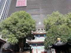-罔极寺