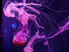 -成都浩海立方海洋公园