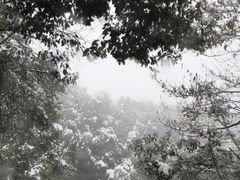 -午潮山国家森林公园