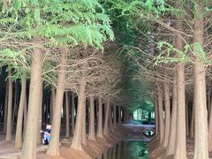 -捞渔河湿地公园