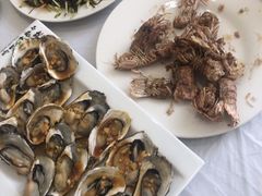 -宾朋海鲜特色美食餐厅·纯手工鲅鱼水饺(兴海路店)