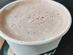 蒸热可可蒸汽奶-星巴克臻选(广州沙面店)