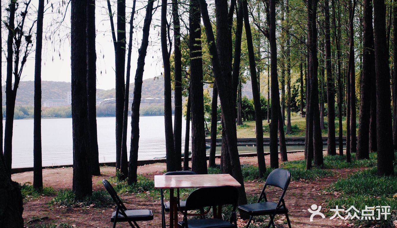 春风又绿江南岸，来蠡湖边走走吧！