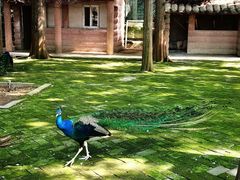 -南京金牛湖风景区