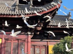 -阳澄湖半岛旅游度假区