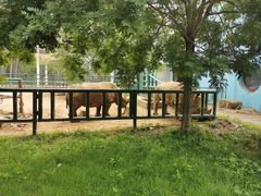 -秦皇岛野生动物园