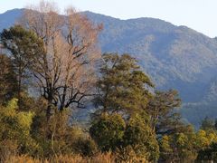 -古田会议纪念馆