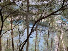 -黄埔油麻山森林公园