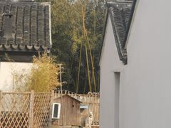 -树山生态村