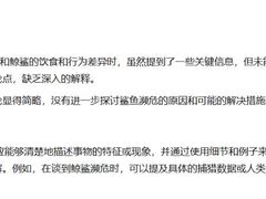 -上海星河湾双语学校