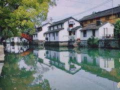 -金泽古镇
