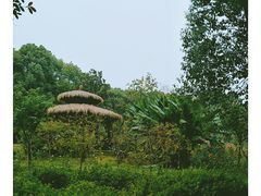 -东湖落雁景区
