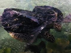 -福州罗源湾海洋世界旅游区