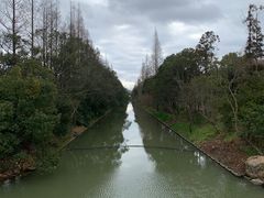 -上海长兴岛郊野公园