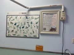 -纳吉亚猫专科动物医院博雅分院