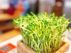 -大熊猫毛肚火锅(烟台万象汇店)