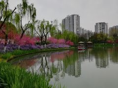 -圩墩遗址公园