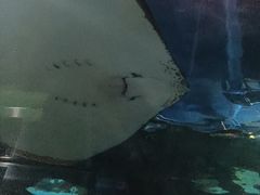-石家庄海洋公园