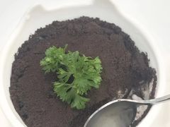 -喵园·猫主题咖啡厅·撸猫·猫咖(国贸店)