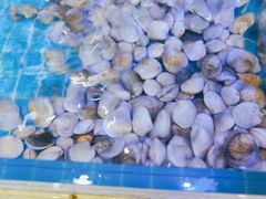 -必点蒸汽海鲜(止锚湾店)