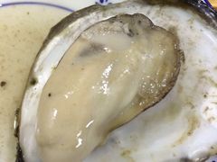 -大富蚝乌东哥饭店·石锅鱼杂·柠檬鸭(革新路店)