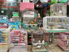 -武汉花鸟市场