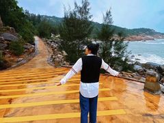 -广东惠东海龟国家级自然保护区