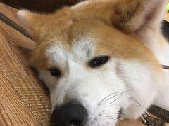 -YCHL Studios健身工作室(市二宫店)