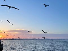 -大连海昌东方水城