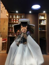 -明洞造型精品烫染