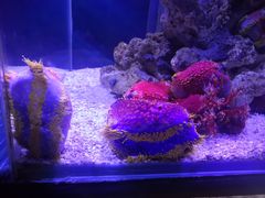 -太平洋海底世界