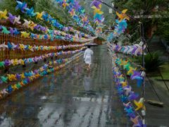 -剑河仰阿莎温泉小镇