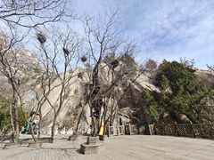 -北京凤凰岭