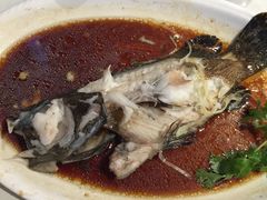 清蒸石斑-文杏酒楼(一品天下店)