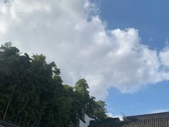 -上海醉白池公园