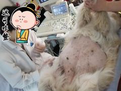 -北京赛佳动物医院