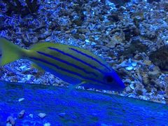-海合安武汉极地海洋公园