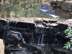 -兴福老面馆(寺路街店)