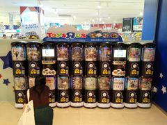 -TOYSRUS玩具反斗城(厦门中华城店)