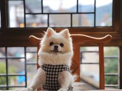 -春娟茶楼·地道农家菜(梅家坞店)