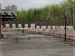 -沐仙湖湿地公园