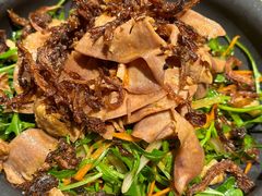 菌菇芝麻菜猪舌-SHAN山(前滩太古里店)