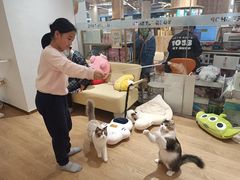 -1013 PET SHOP精品宠物商店(丁香店)