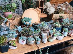 -北马山庄植趣咖啡