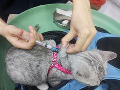 -拜鲁耶动物诊疗中心·宠家动物医院