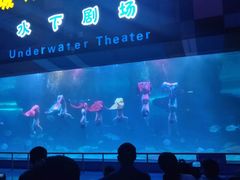 -泉城欧乐堡海洋极地世界