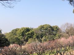-无锡梅园公园